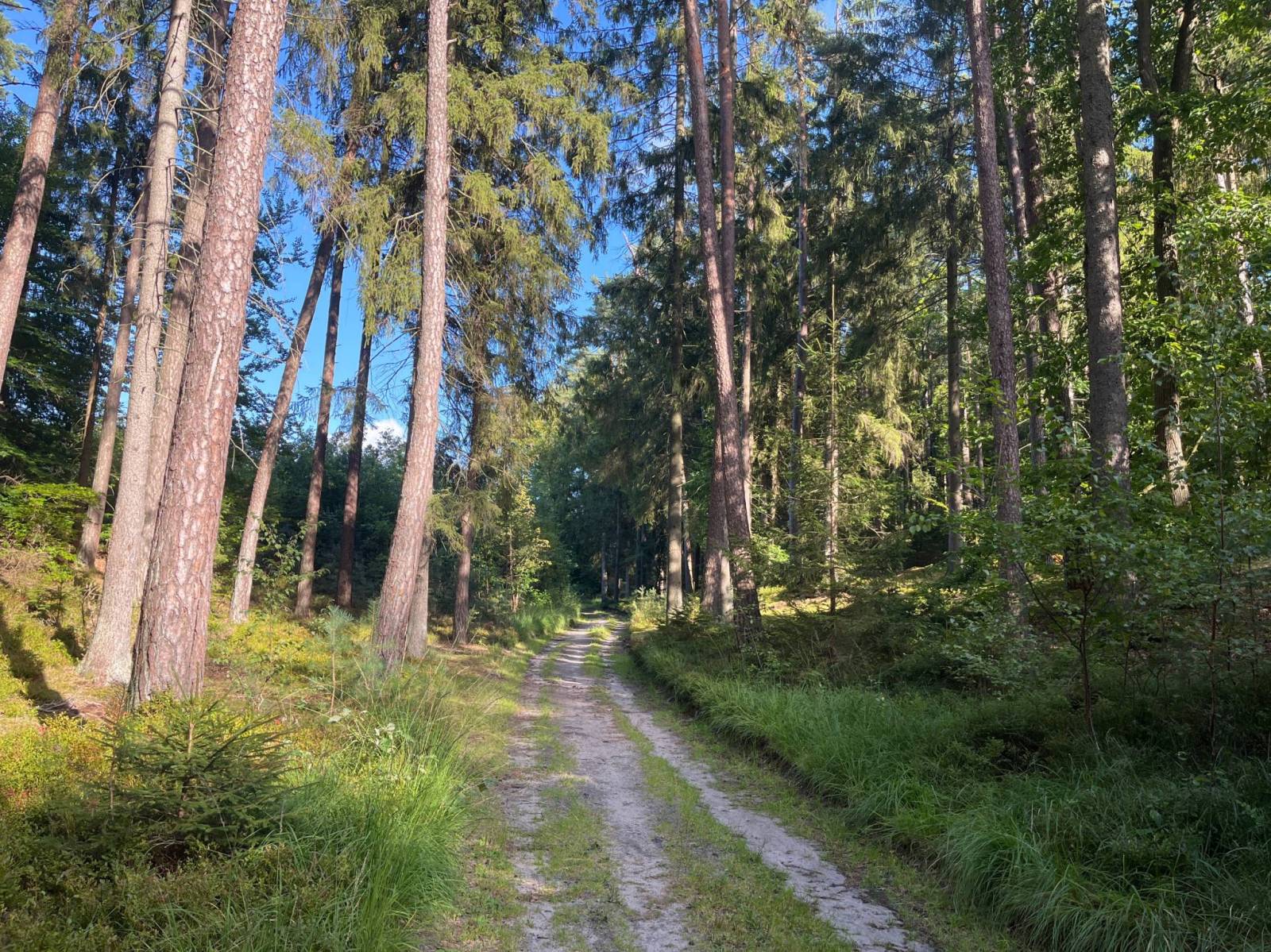 Zdjęcie 4