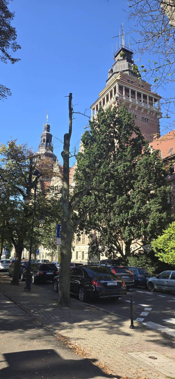 Zdjęcie 3