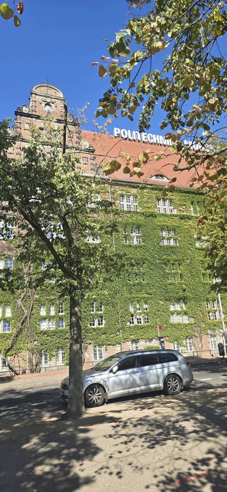Zdjęcie 5