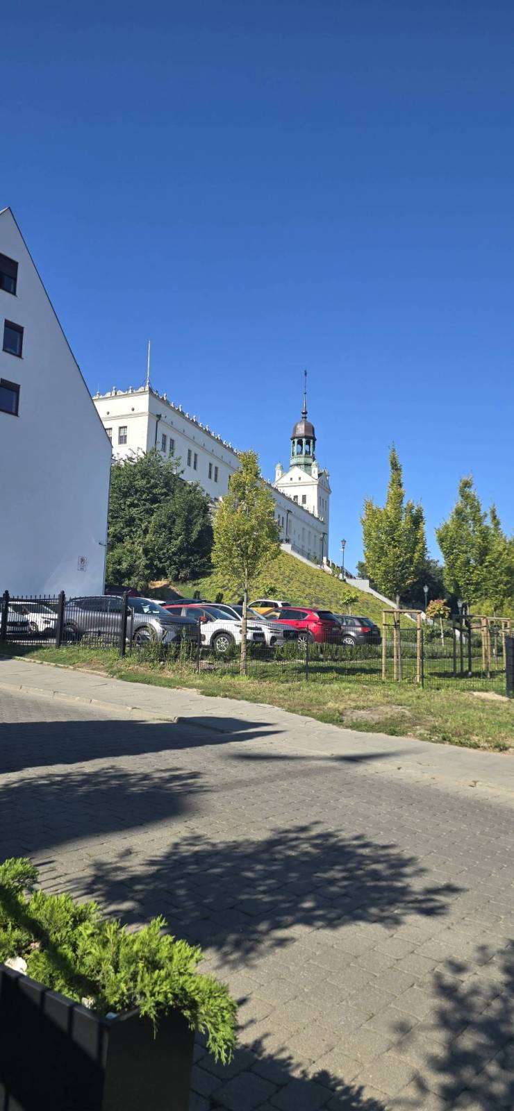 Zdjęcie 6
