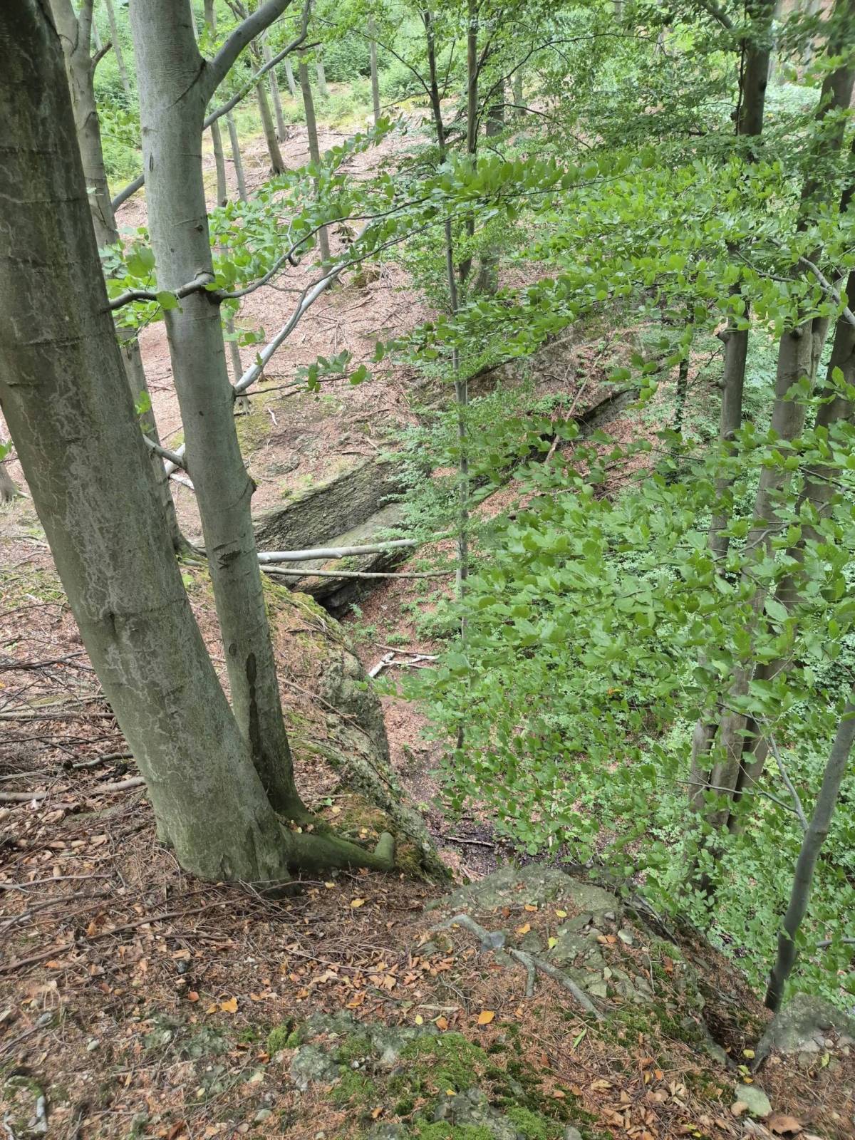 Zdjęcie 6