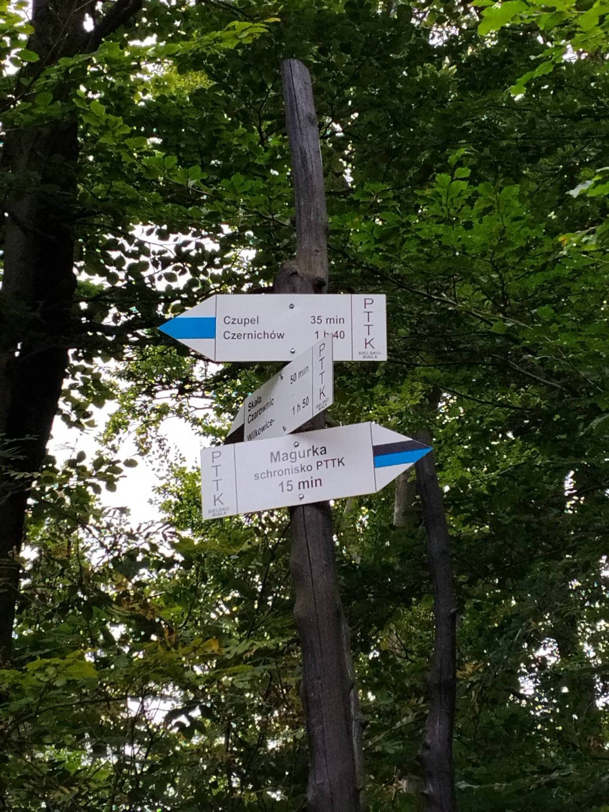 Zdjęcie 4