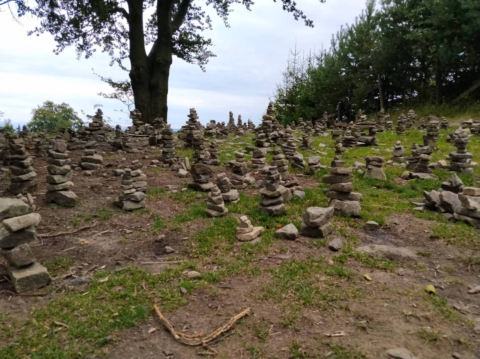 Zdjęcie 6