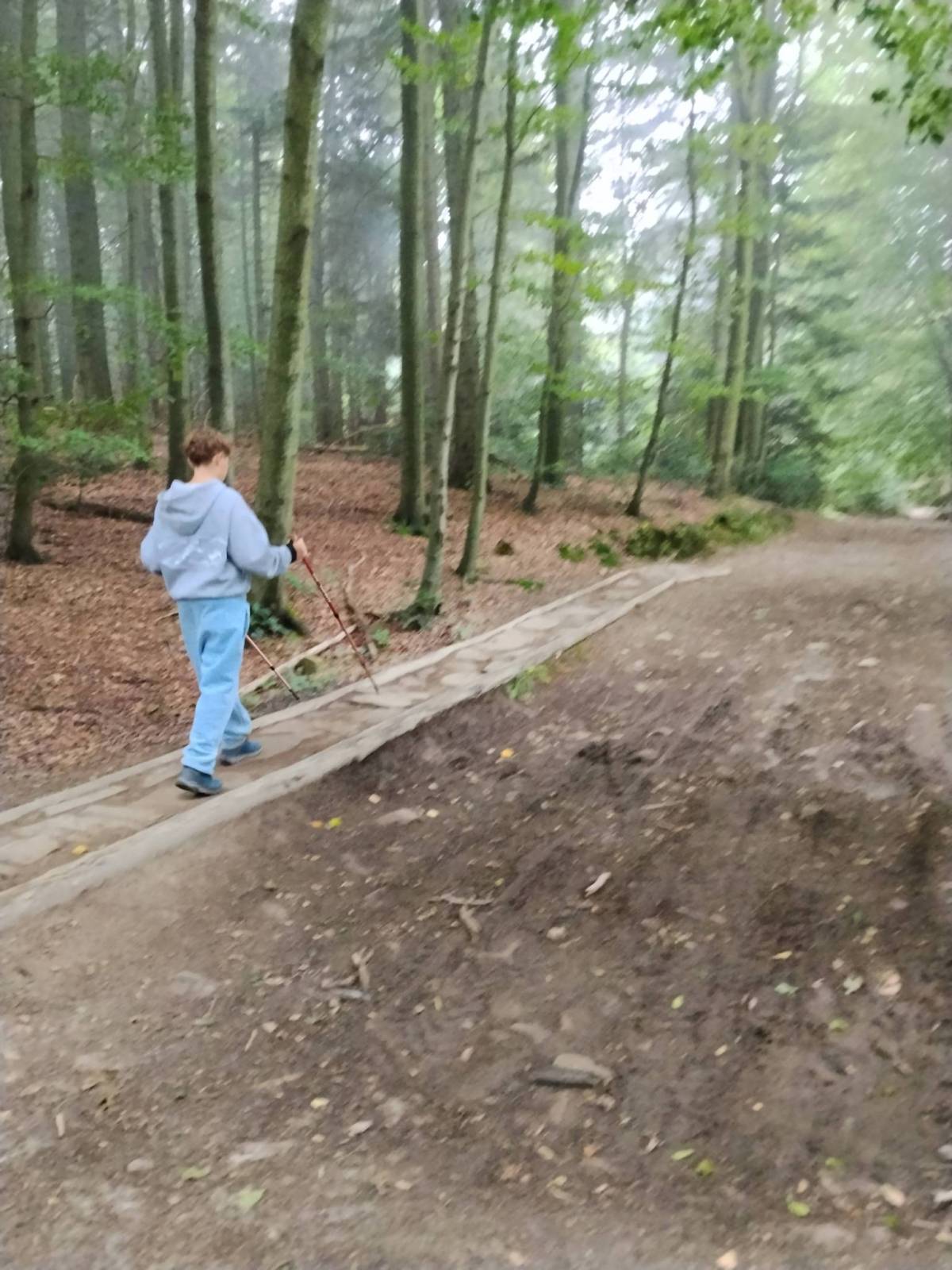 Zdjęcie 5