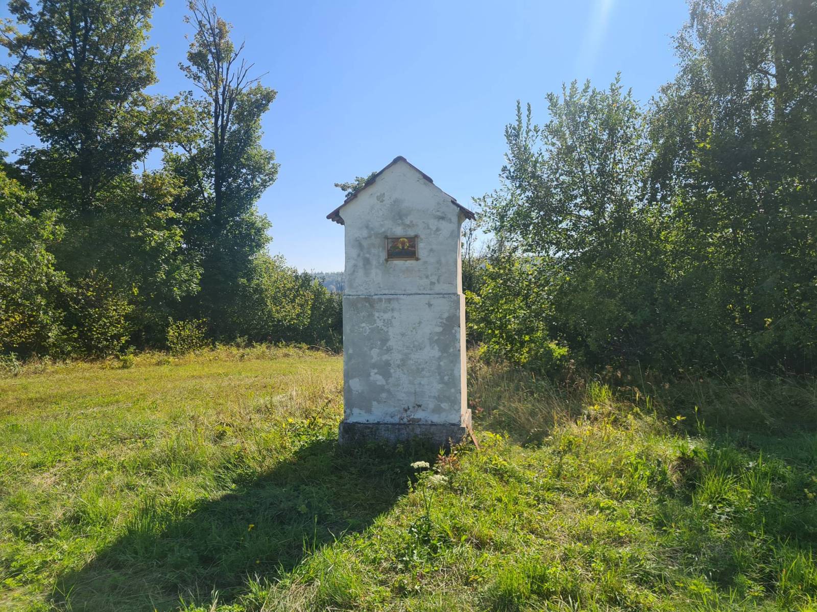 Zdjęcie 5