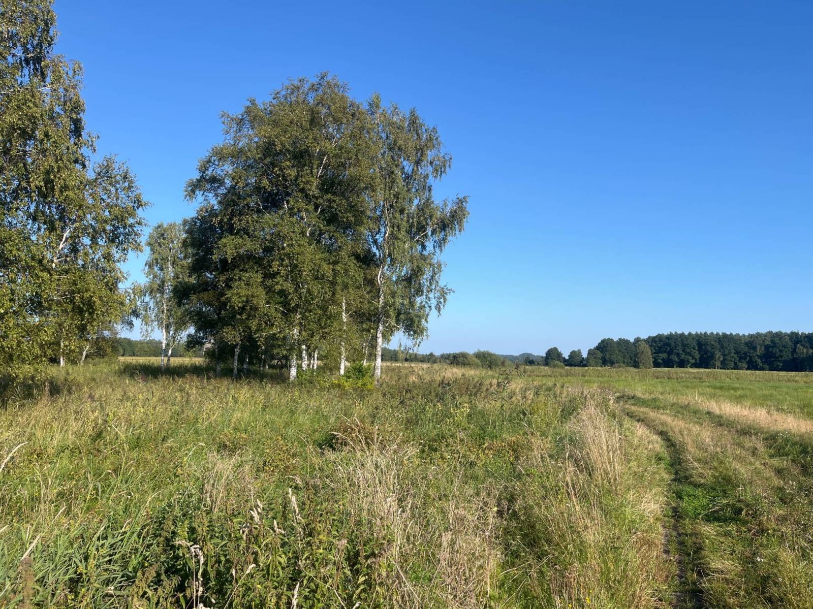 Zdjęcie 2