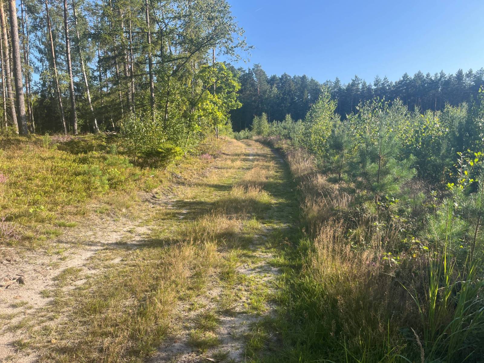 Zdjęcie 3