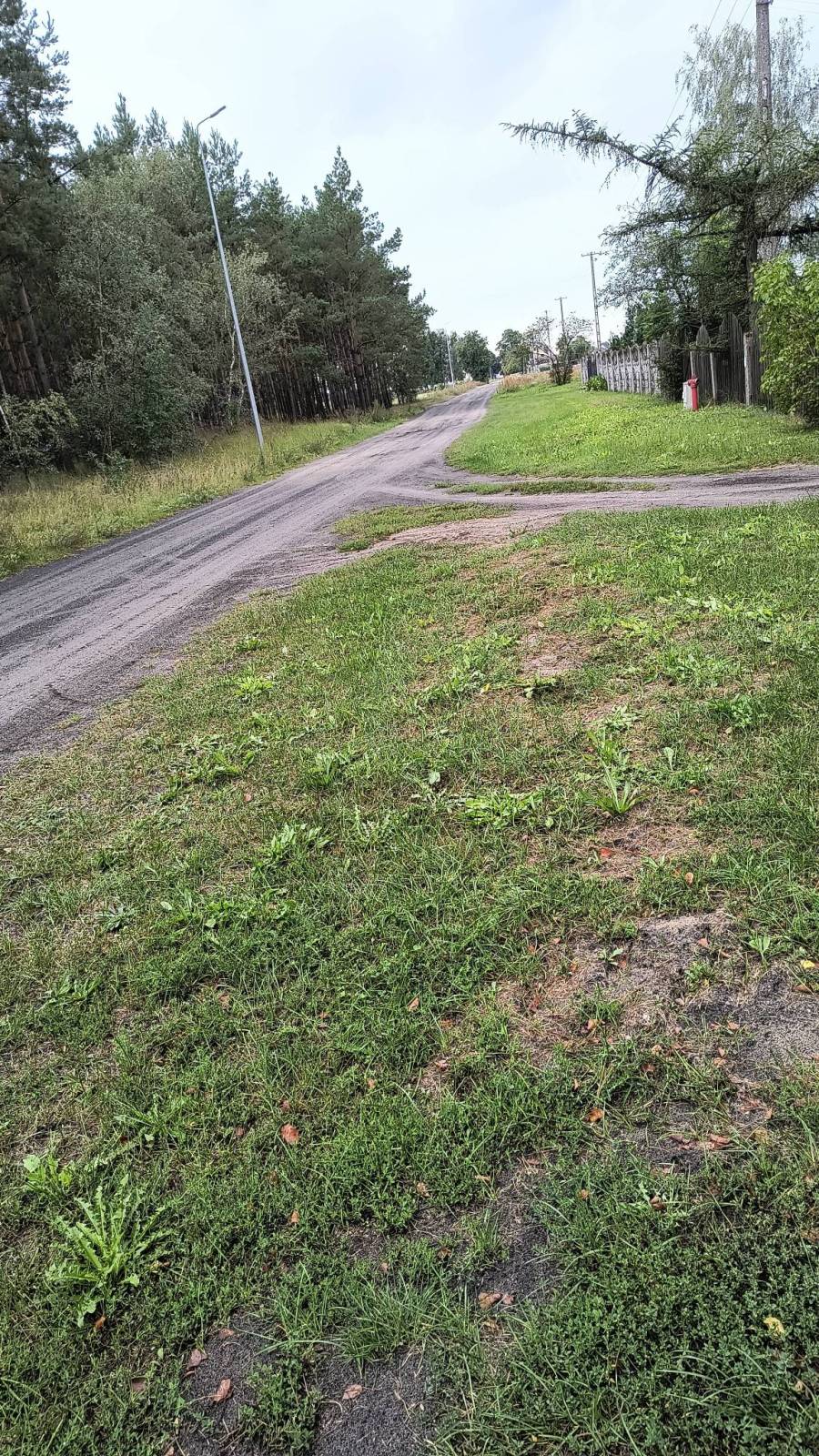 Zdjęcie 1