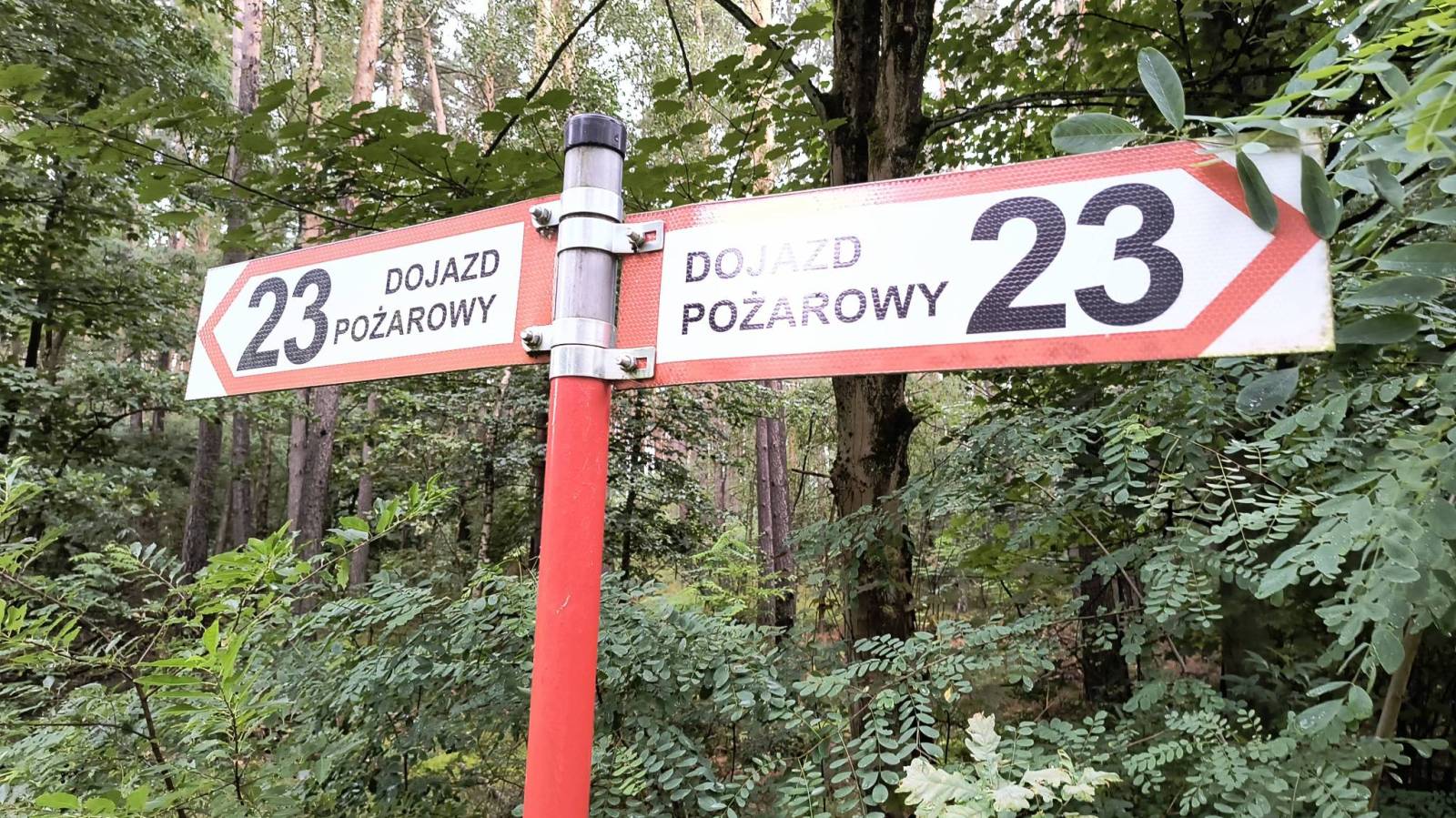 Zdjęcie 5