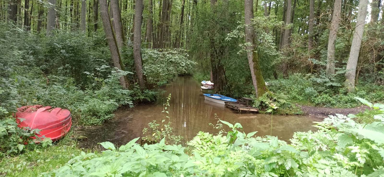 Zdjęcie 6