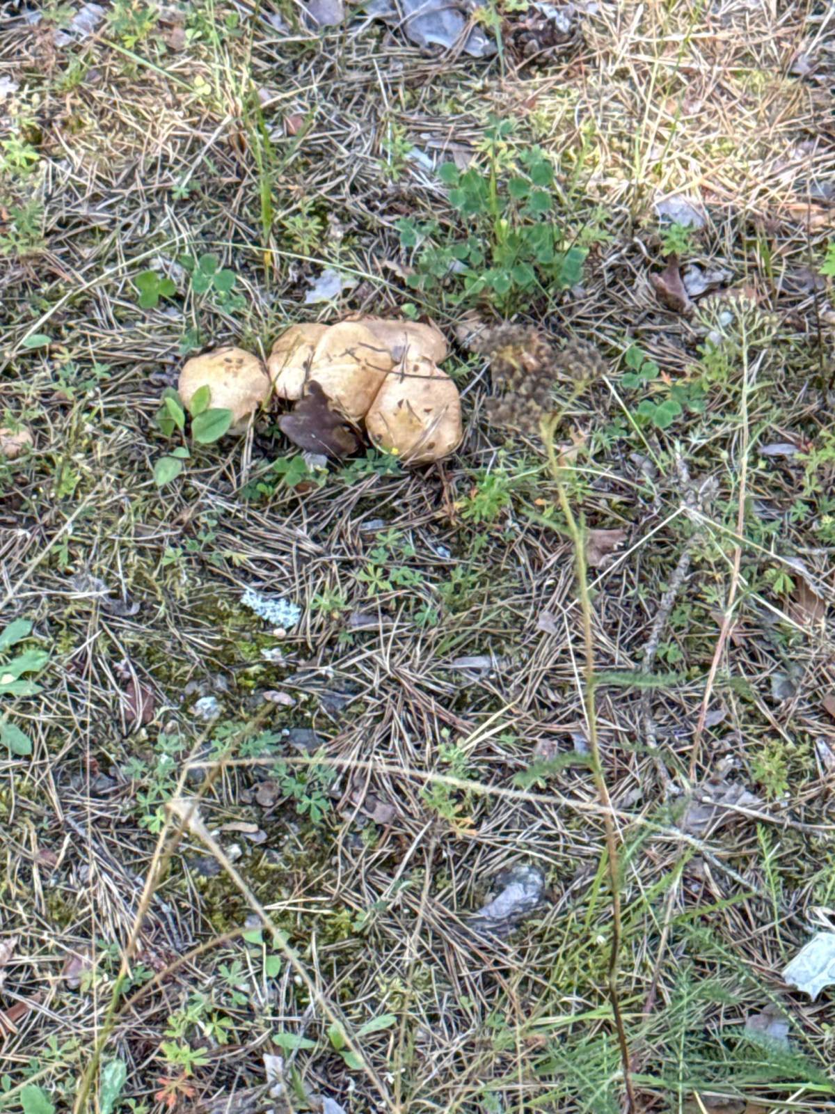 Zdjęcie 3