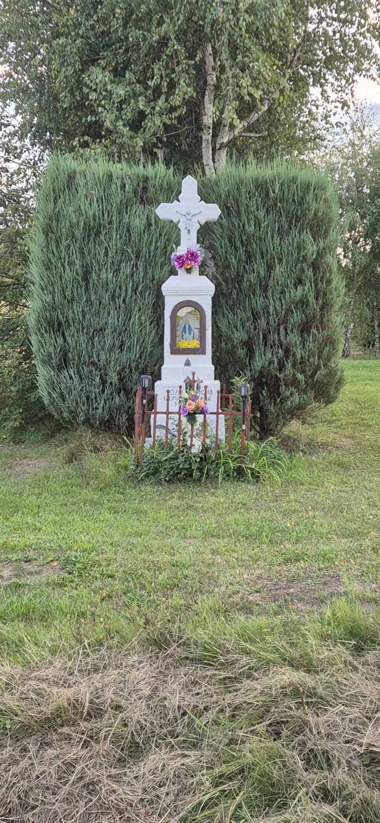 Zdjęcie 1