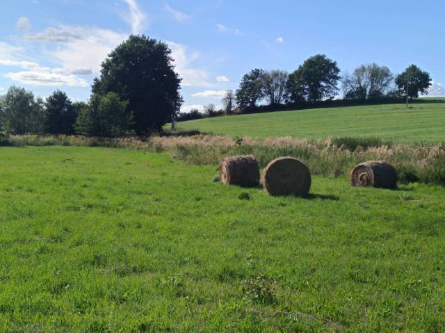 thumb-image