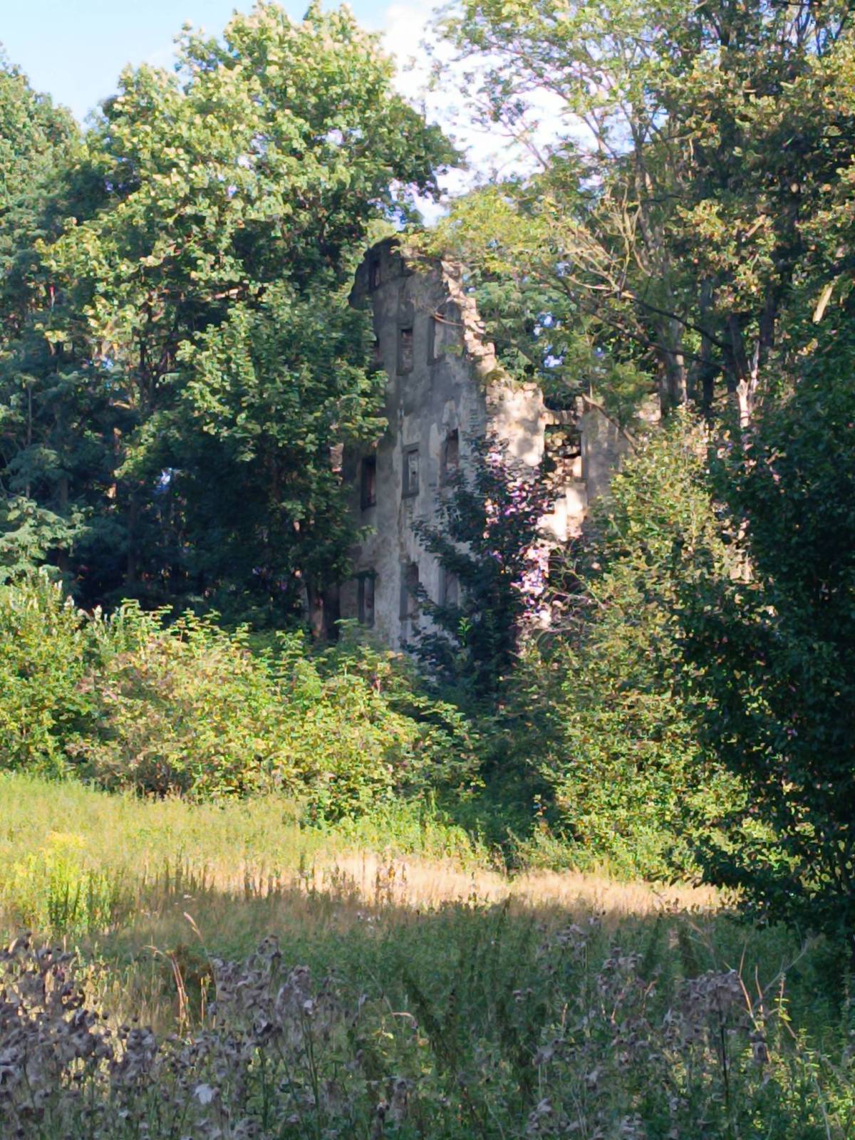 Zdjęcie 6