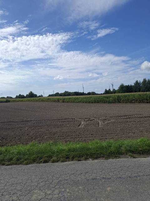 thumb-image