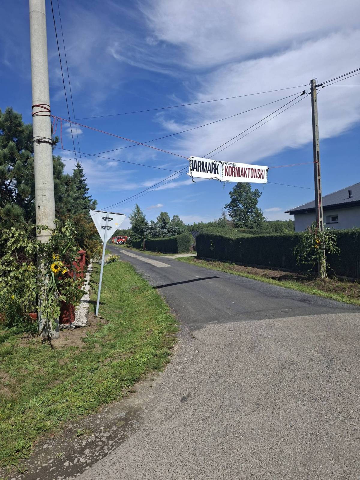 Zdjęcie 3