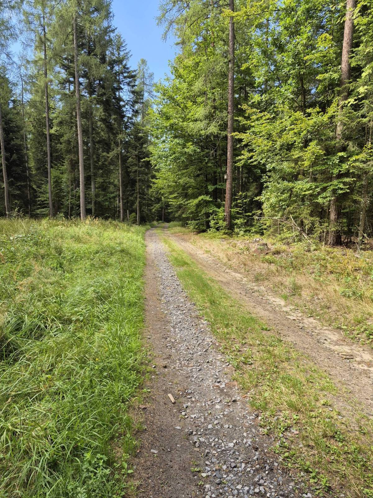 Zdjęcie 4