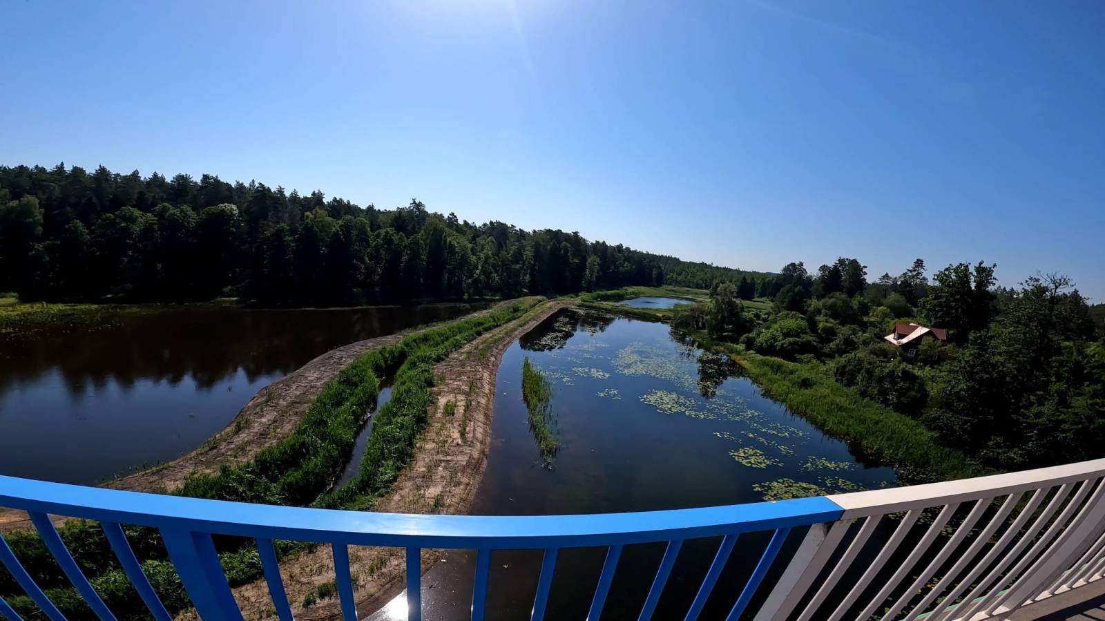 Zdjęcie 6