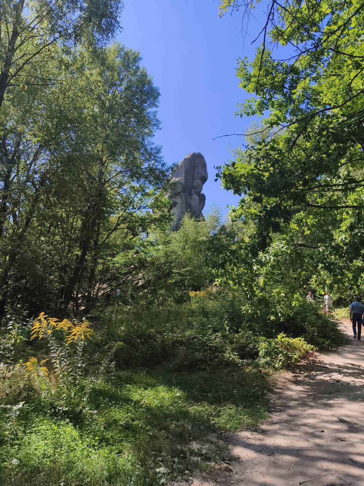 Zdjęcie 6
