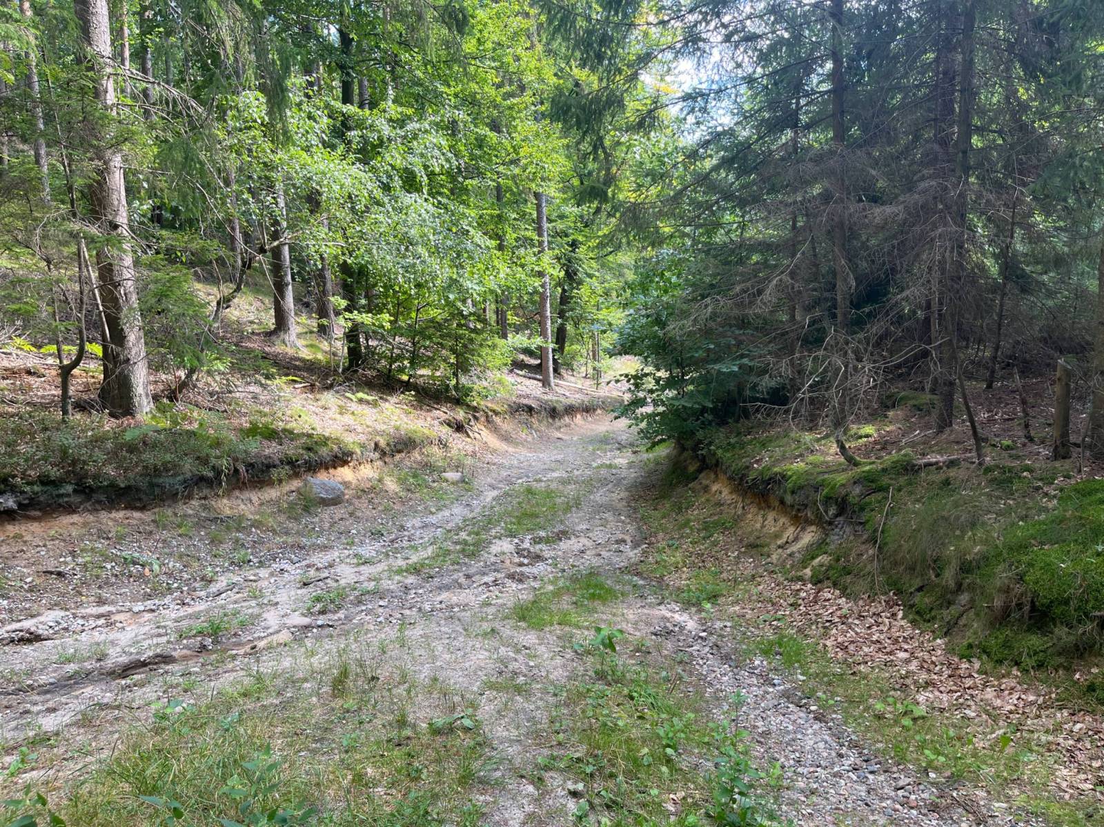 Zdjęcie 4