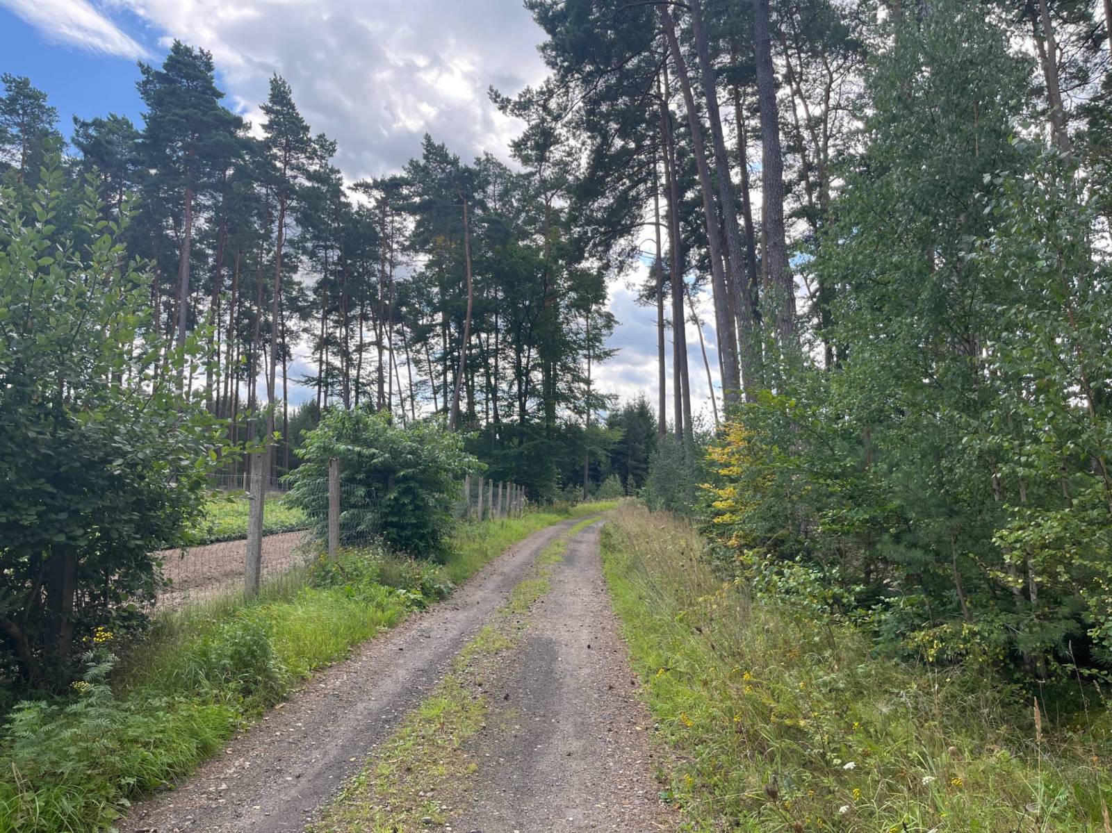 Zdjęcie 6