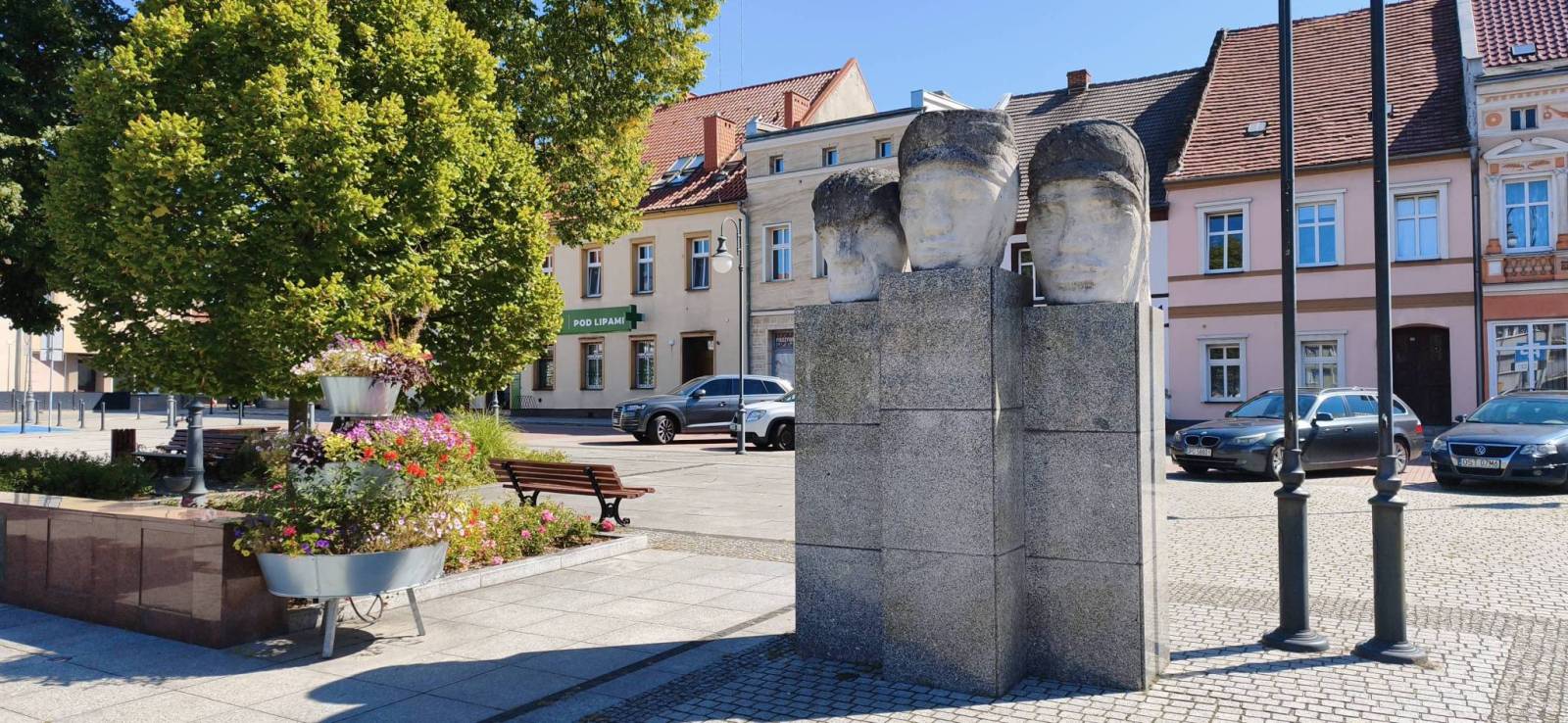 Zdjęcie 6