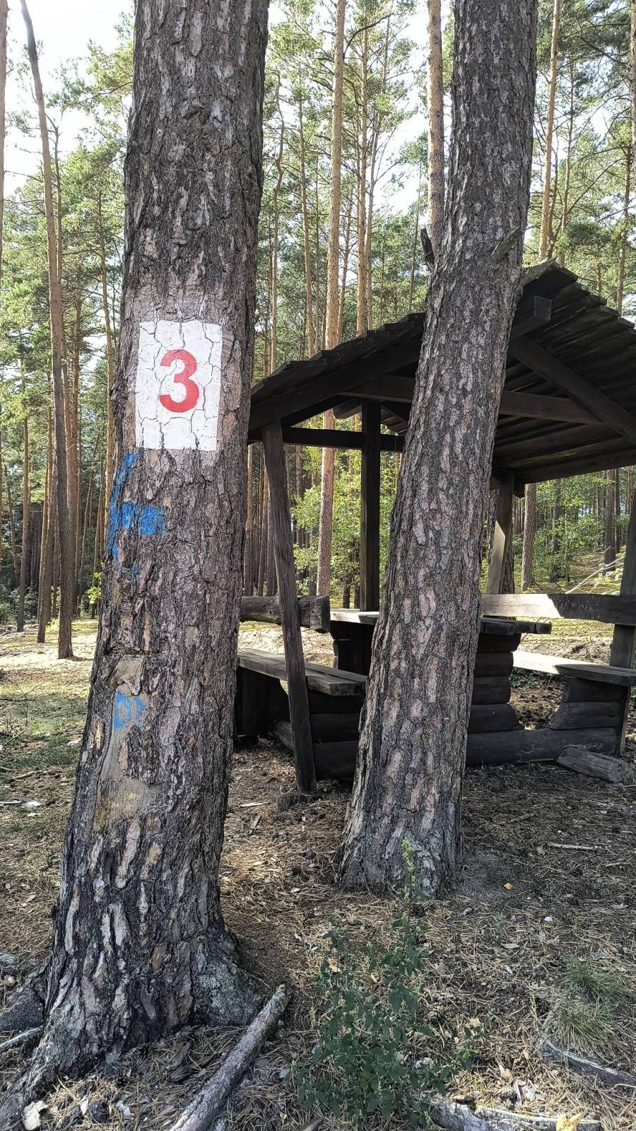 Zdjęcie 6