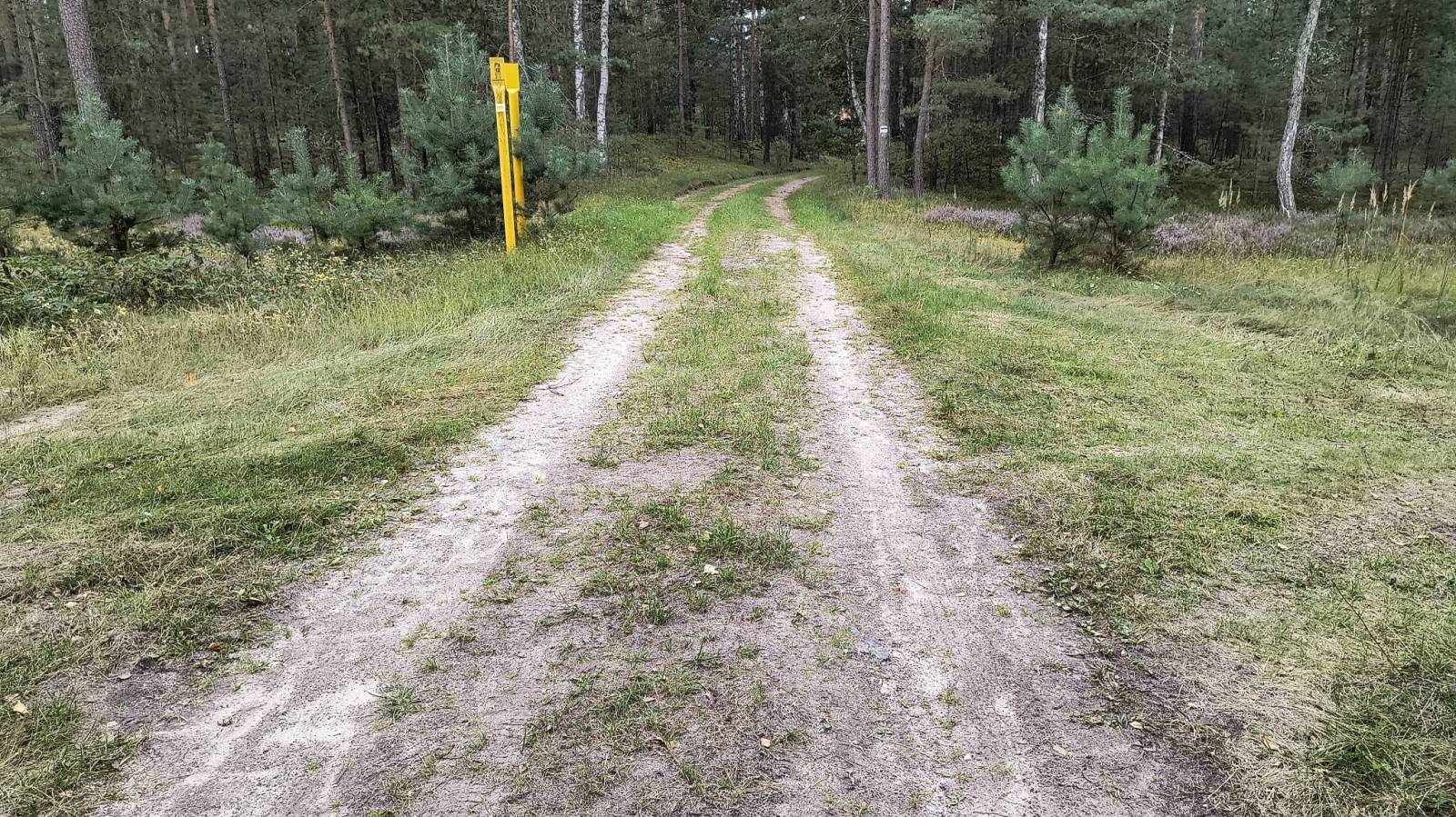 Zdjęcie 2