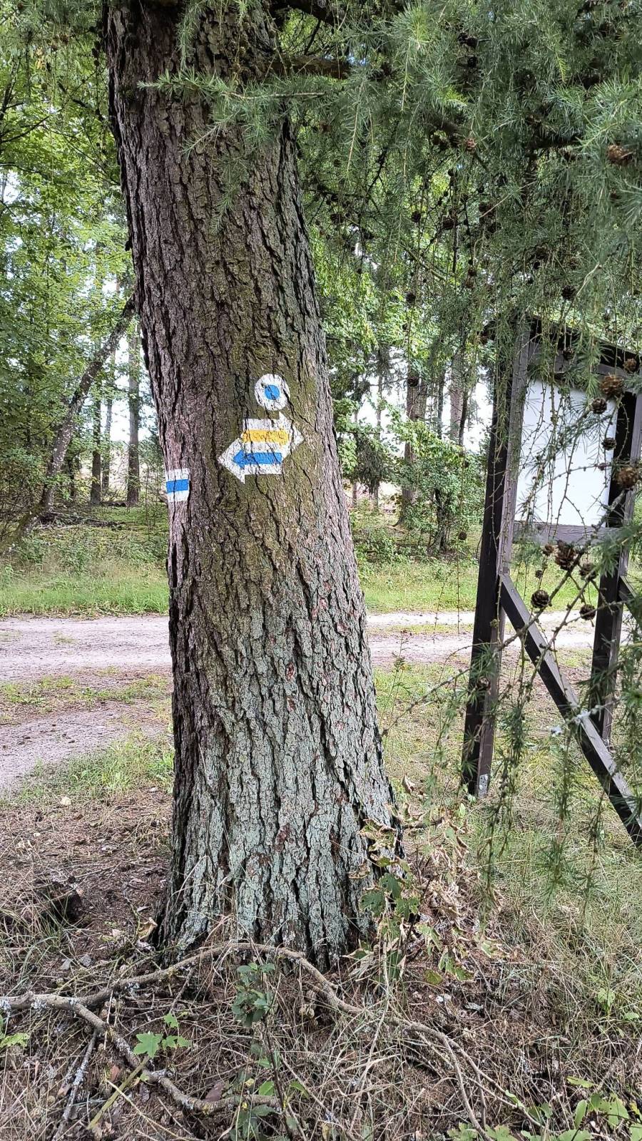 Zdjęcie 3