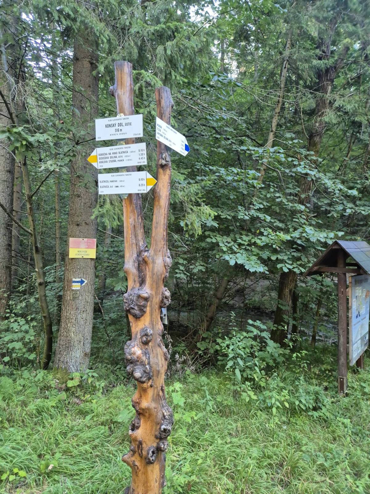 Zdjęcie 3