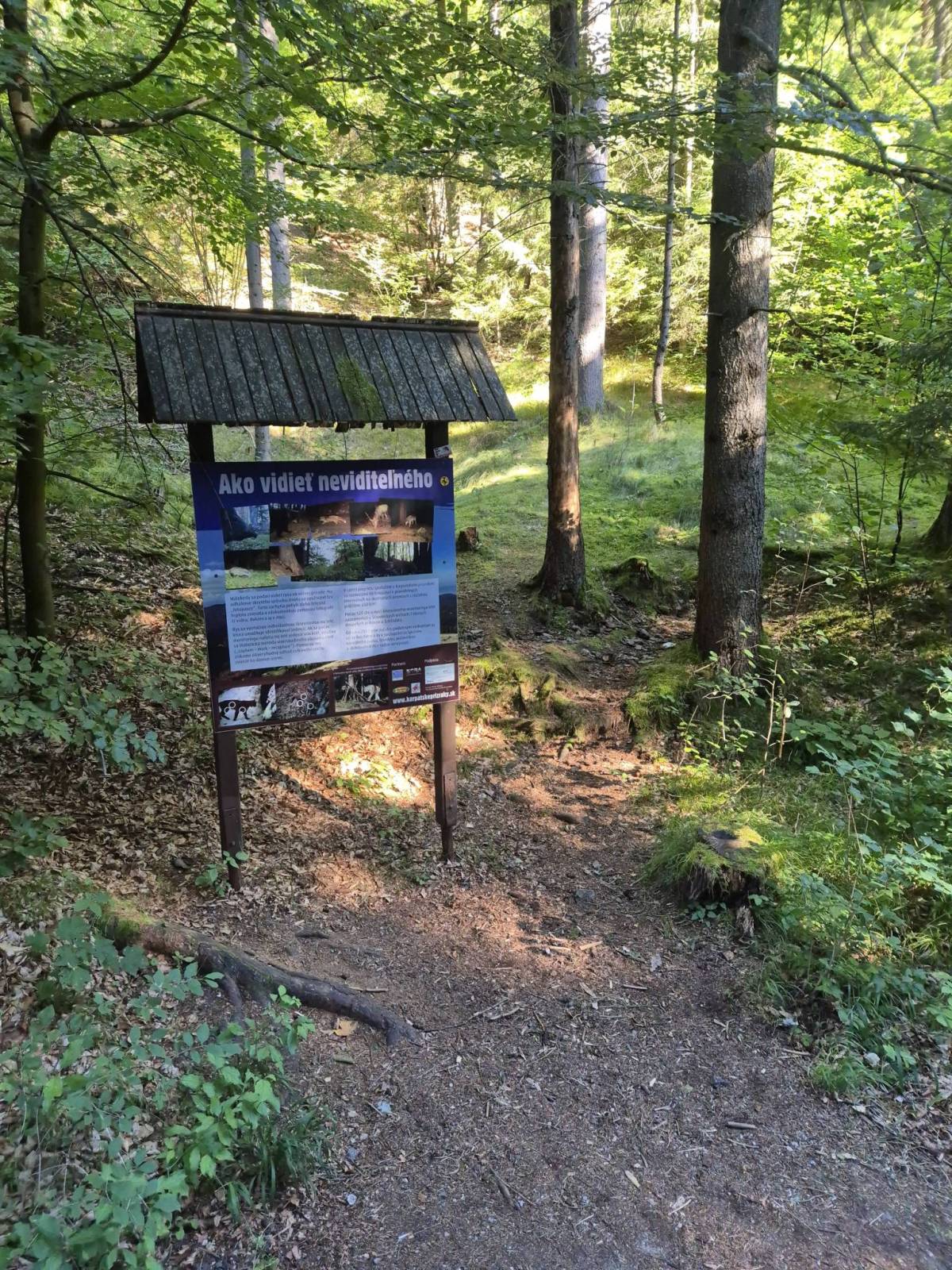 Zdjęcie 5