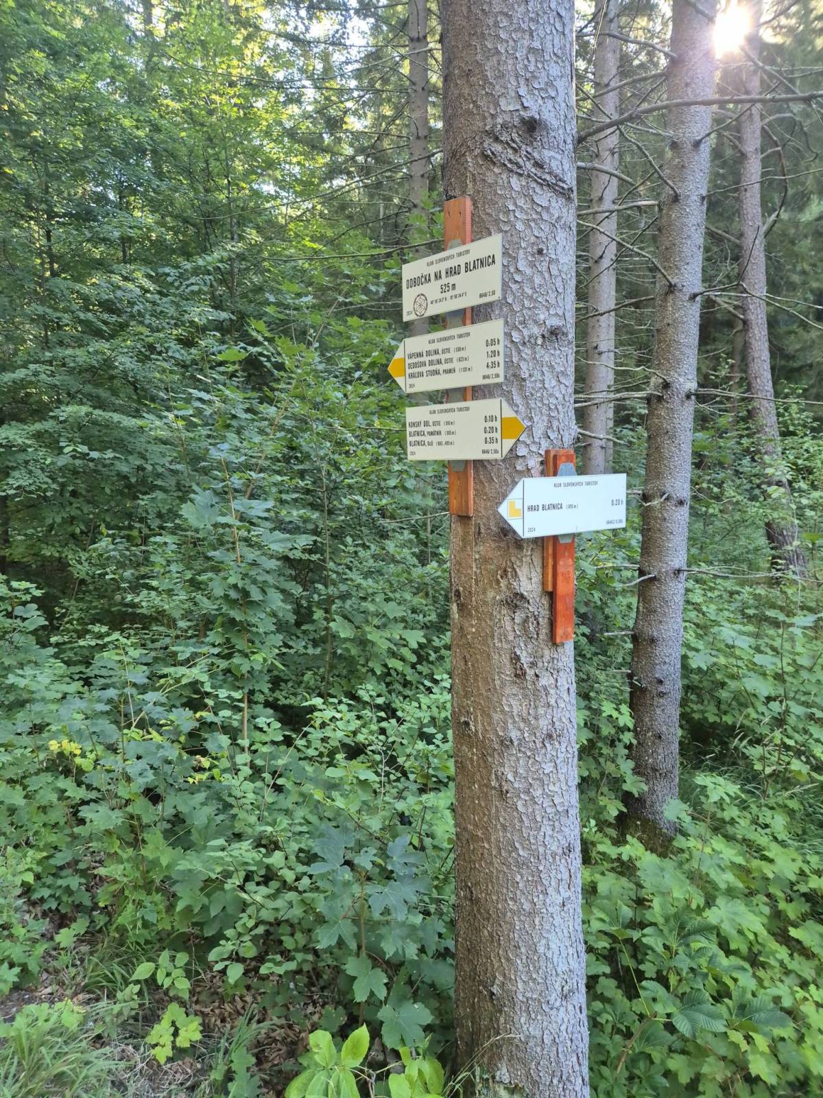 Zdjęcie 6