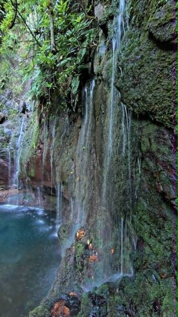 thumb-image