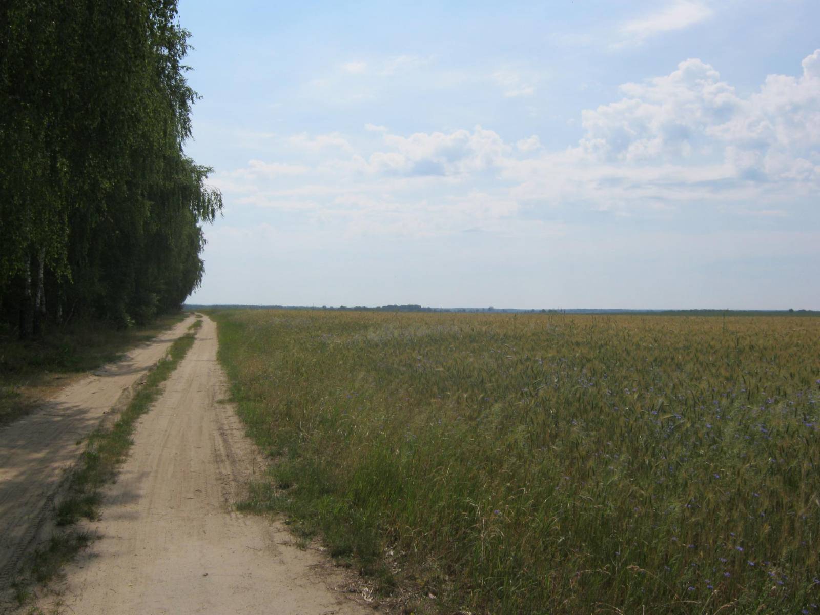 Zdjęcie 2