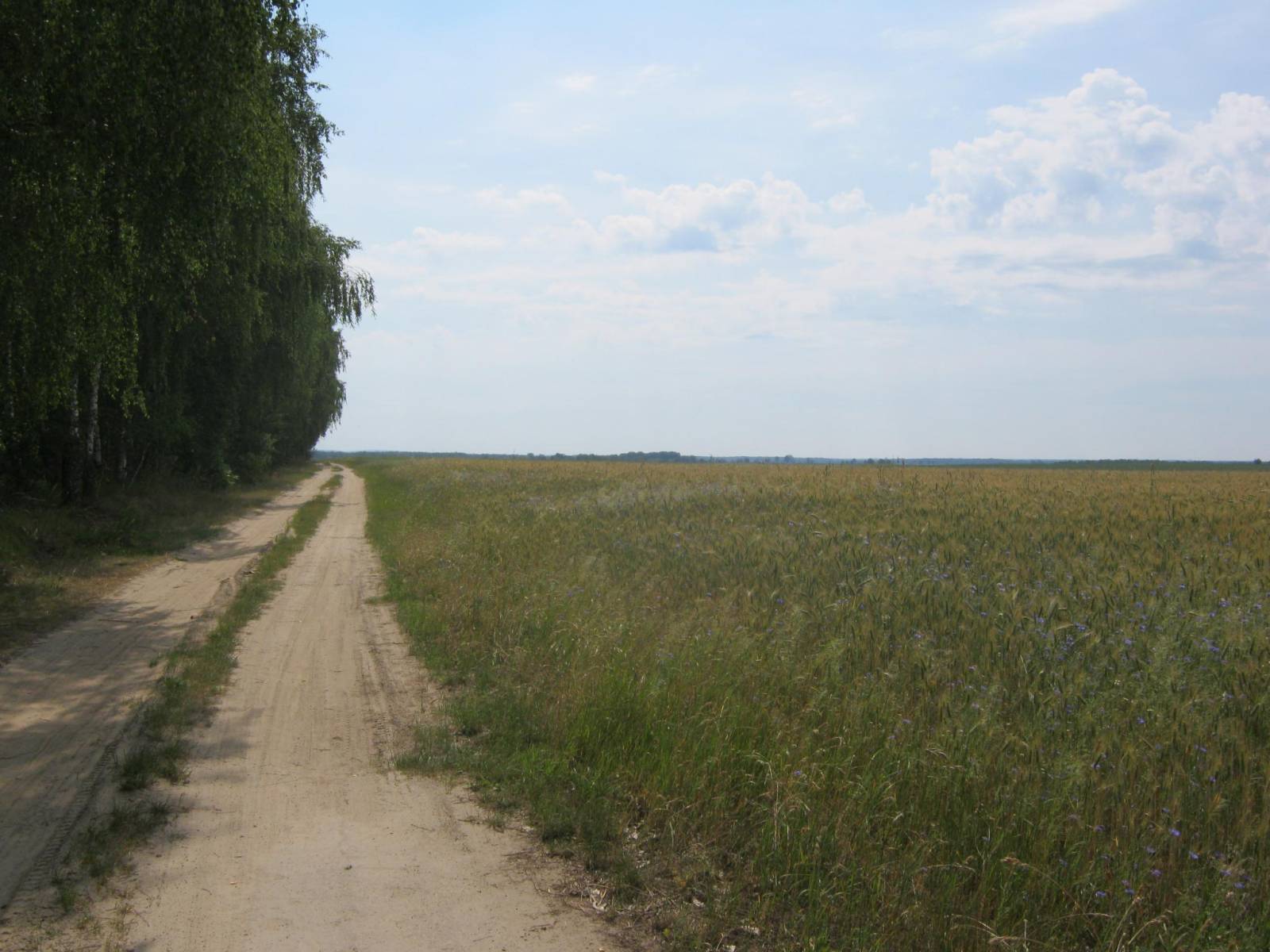 Zdjęcie 3