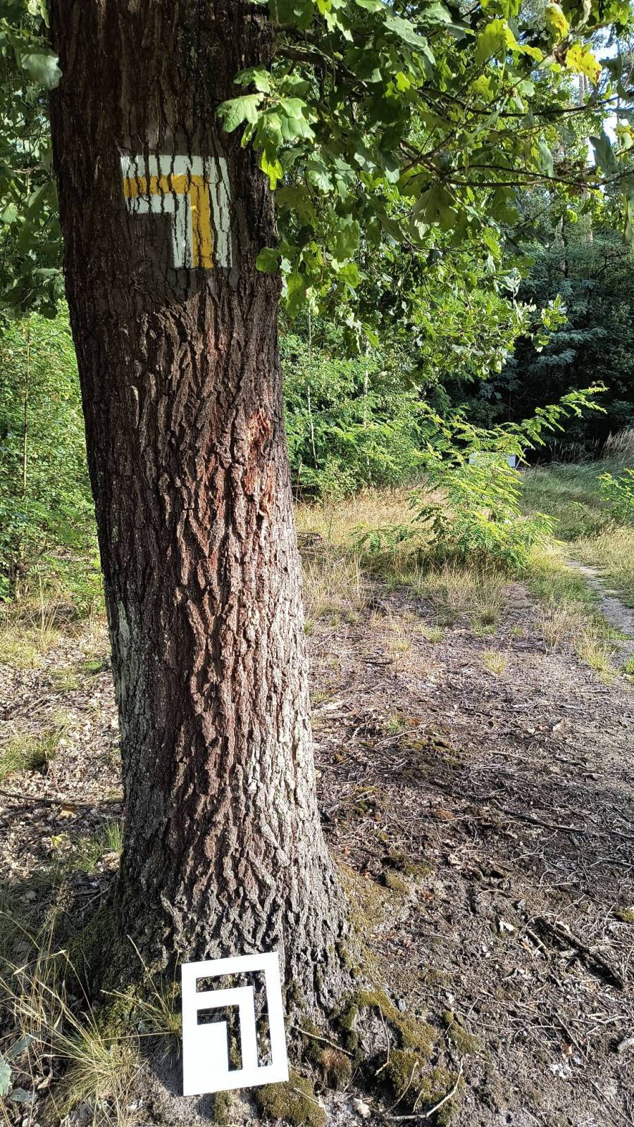 Zdjęcie 1