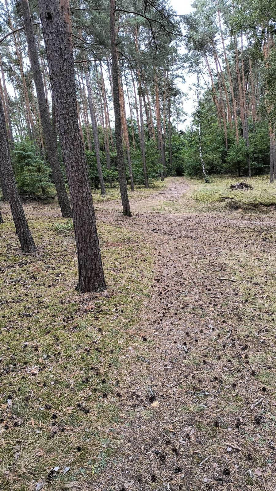 Zdjęcie 3