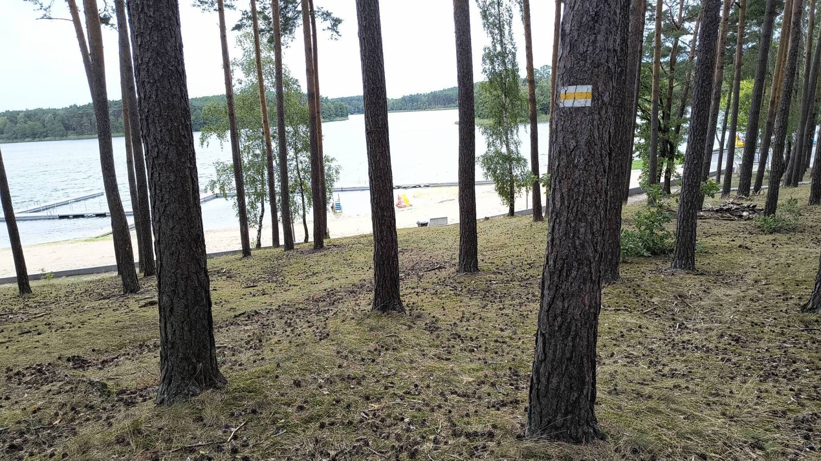 Zdjęcie 4