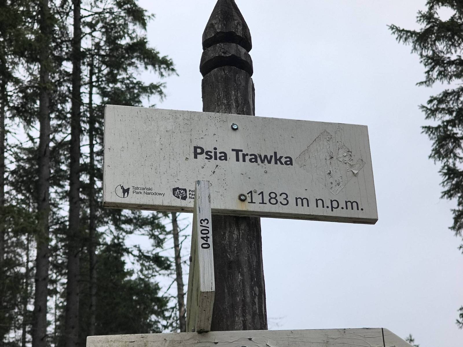 Zdjęcie 3