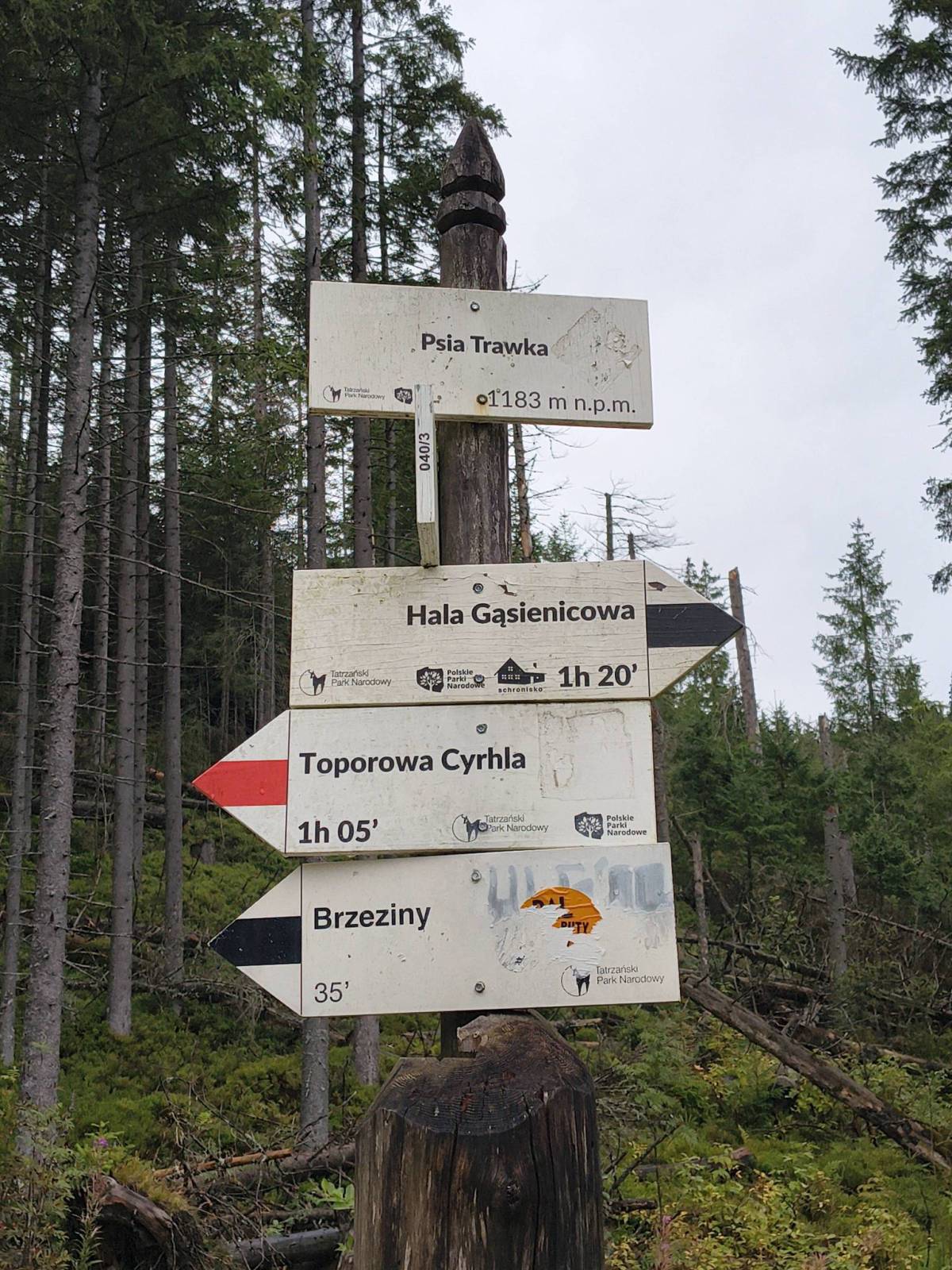 Zdjęcie 4