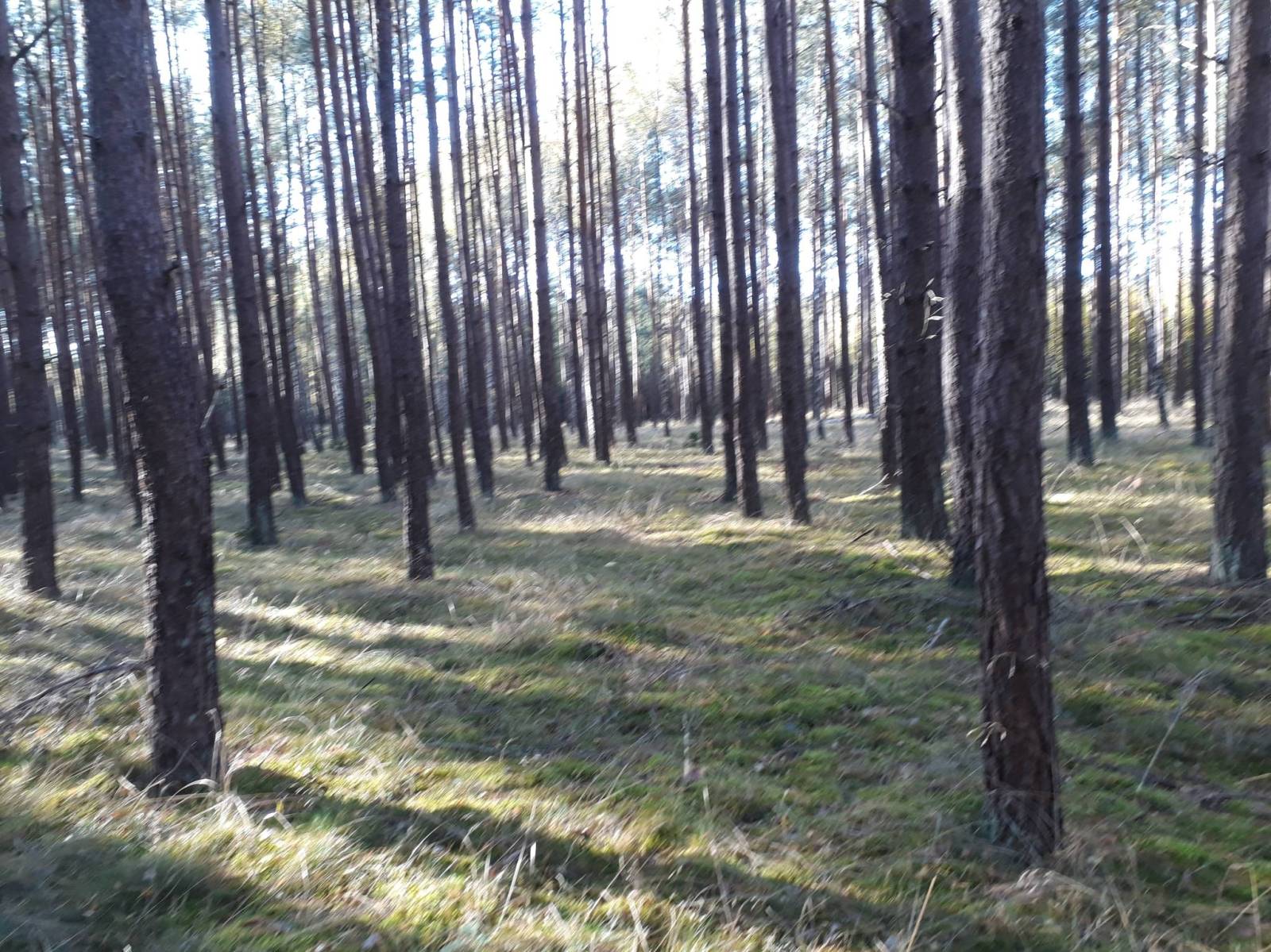 Zdjęcie 3