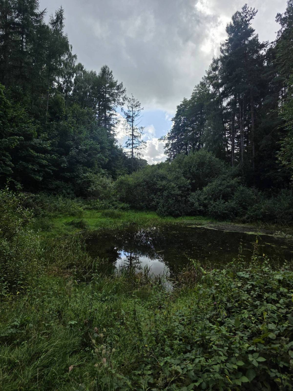 Zdjęcie 5