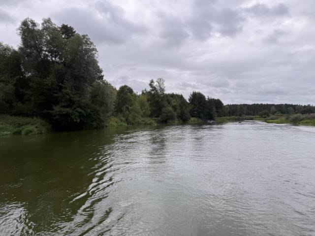 thumb-image