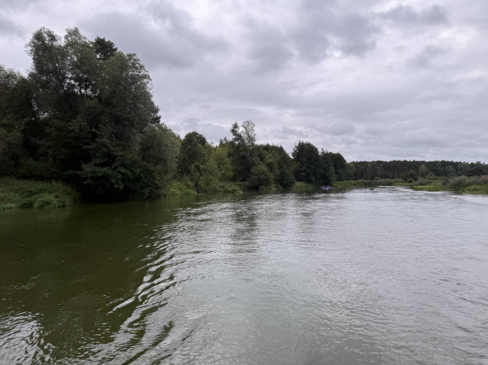 Zdjęcie 1