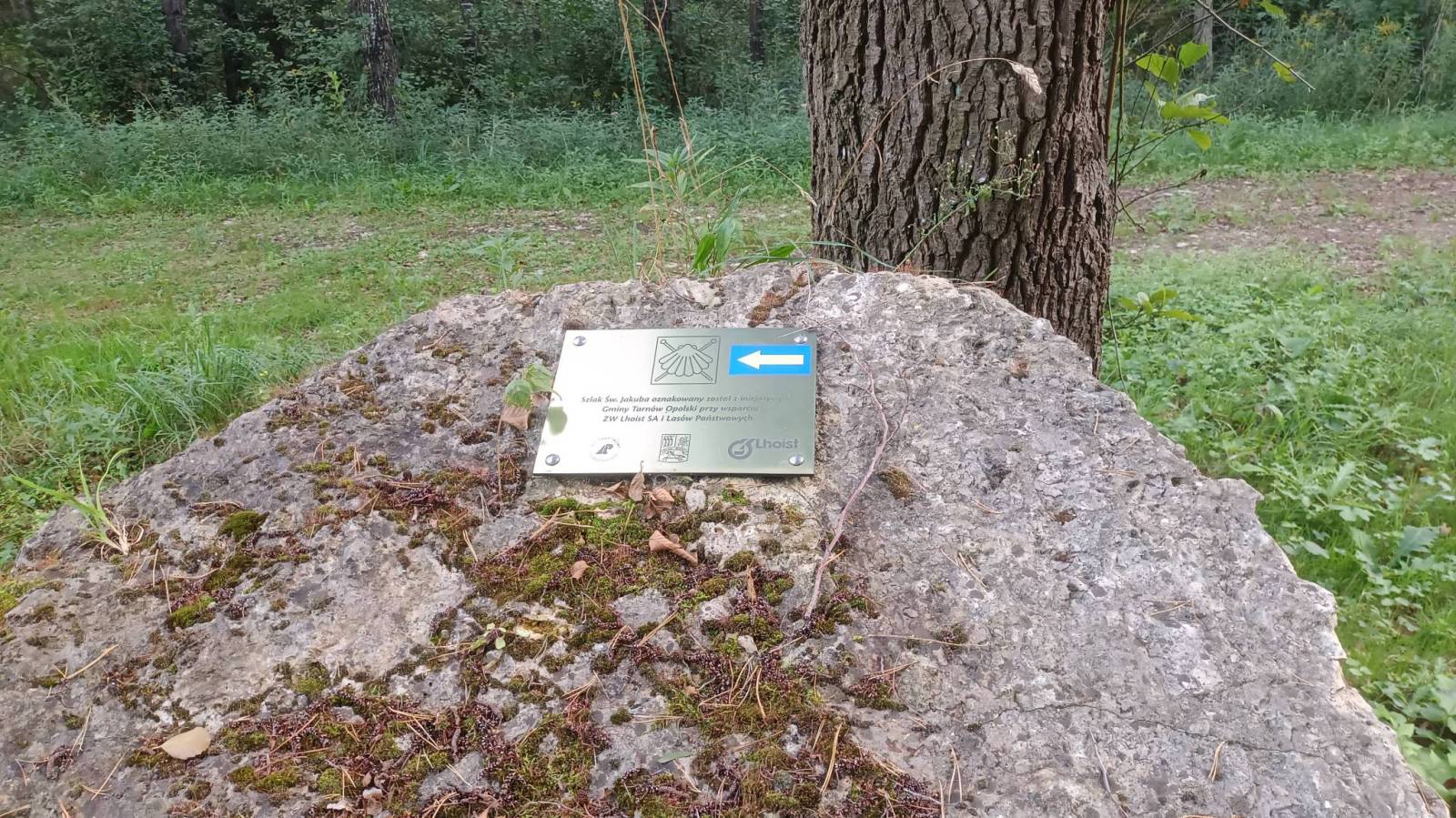 Zdjęcie 4