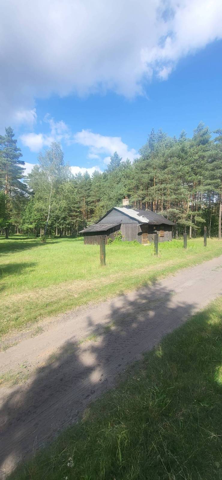 Zdjęcie 6