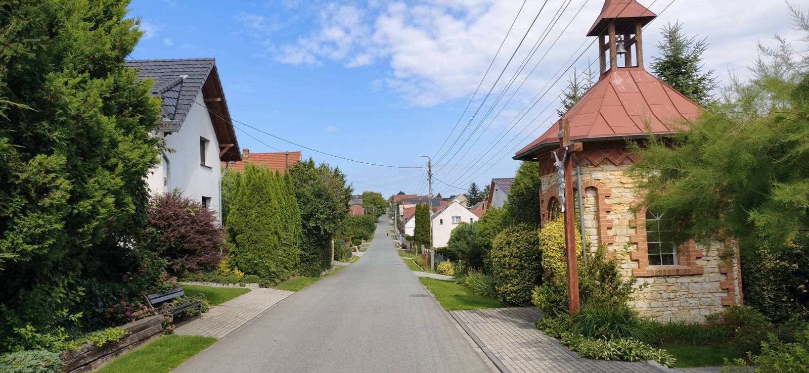 Zdjęcie 5