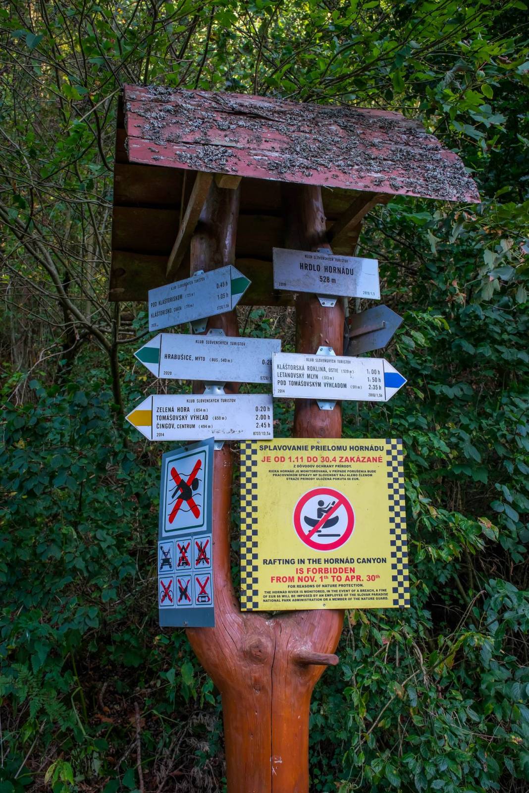 Zdjęcie 5