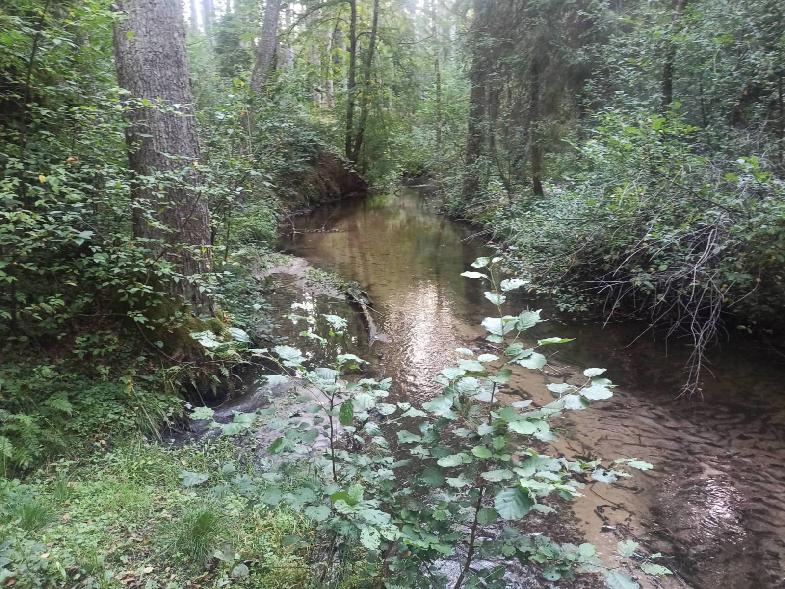 Zdjęcie 4