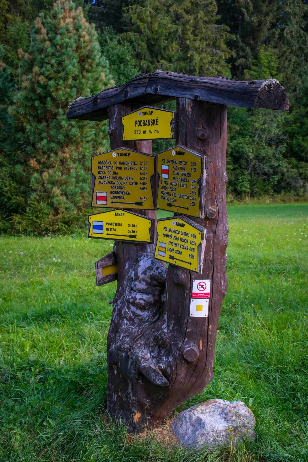 Zdjęcie 2